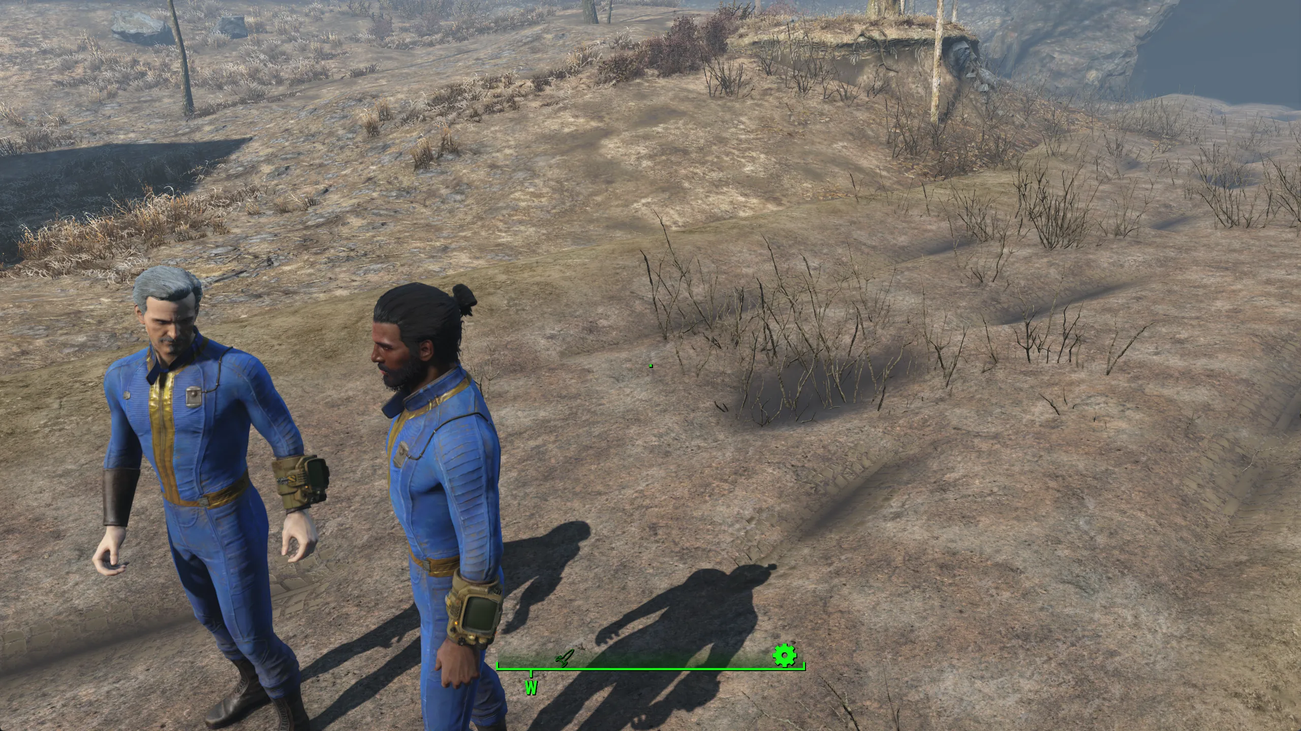 Two players standing together in the Commonwealth wasteland